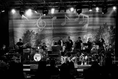 Big Band Hrošči